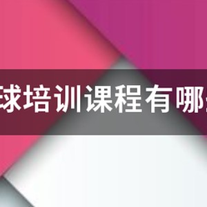 青少年篮球训练基础课程教案模板下载